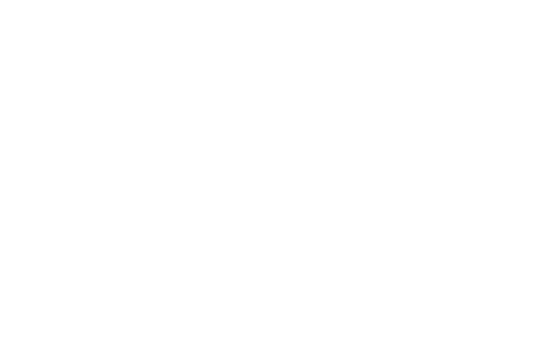 Lamour Toujours Flowers